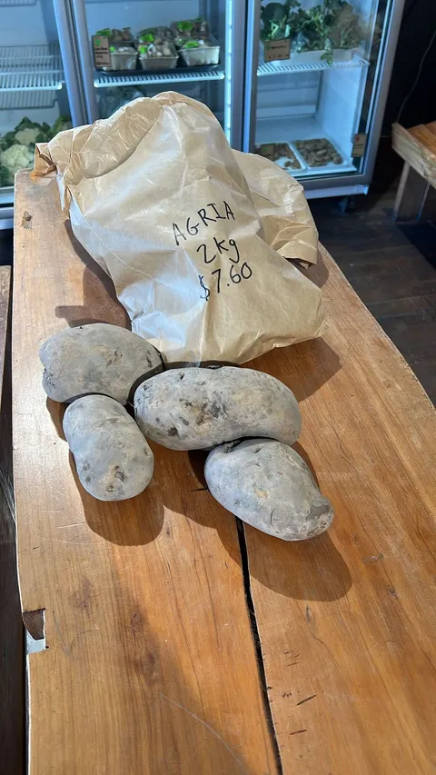 Agria Potato