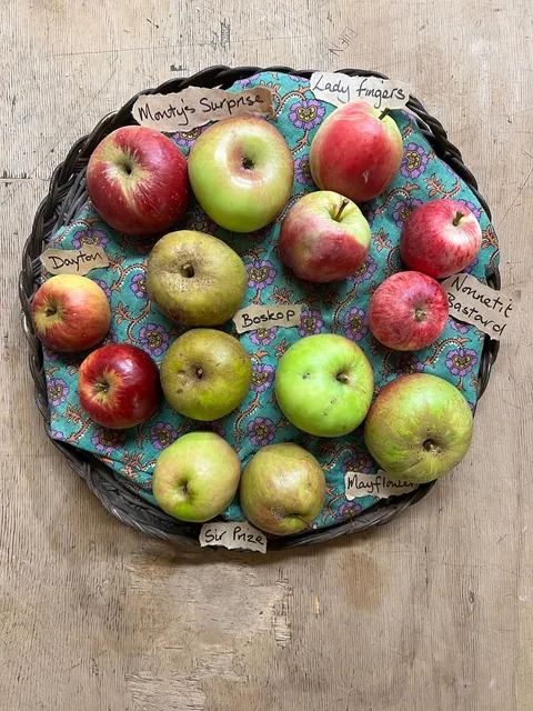 Apple Local Varieties Heritage