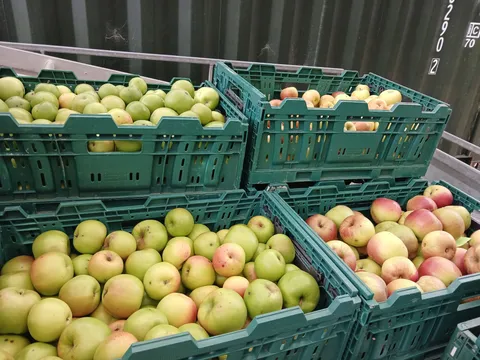 Apple S