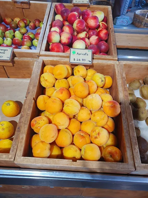 Apricots