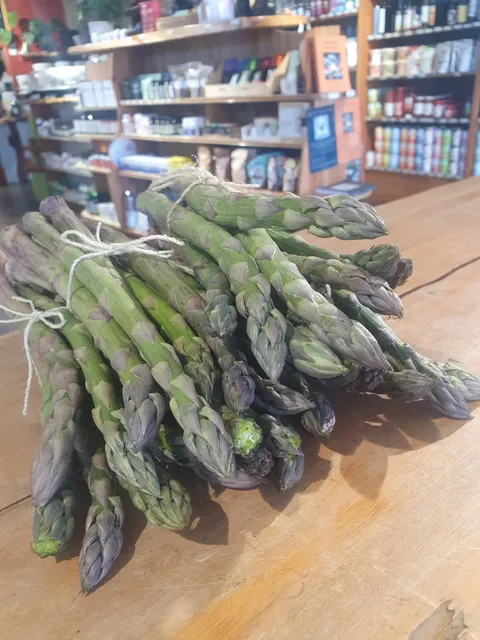 Asparagus