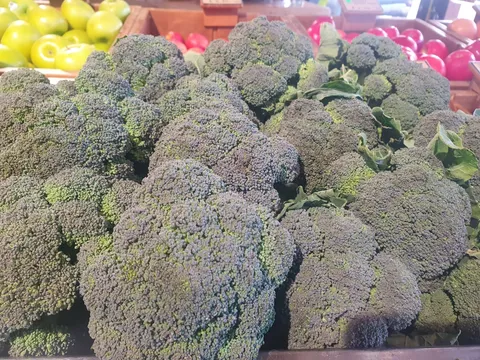 Broccoli