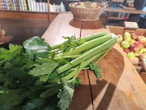 Celery