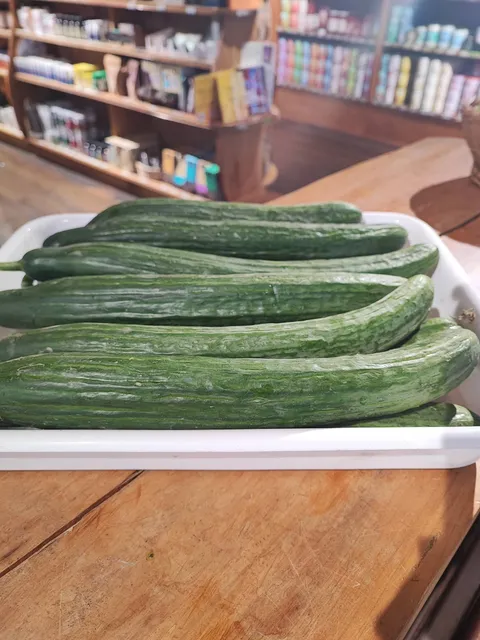 Cucumber