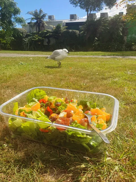 Health Y Eating