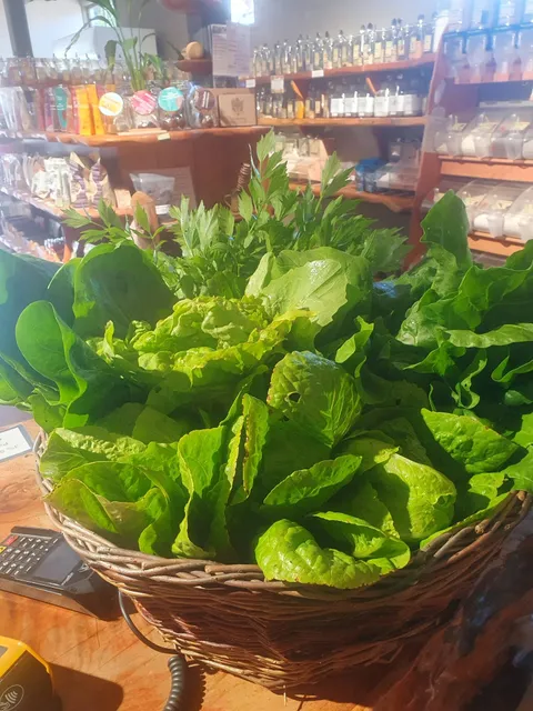 Lettuceandparsley