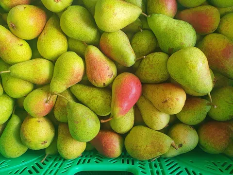 Pears